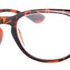 Online A.J. Morgan Eyewear Neighbor Tortoise